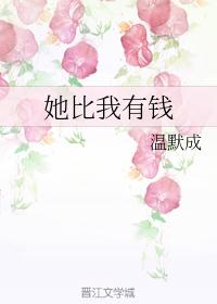 蕾贝卡h