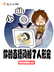 影踪派声望