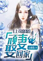穿越兽世之天降雌性