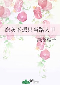 师傅的傻丫头书包