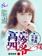 落落清欢txt