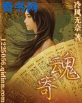 翁媳系列小说