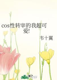 国产a毛片