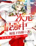 蛊惑小说