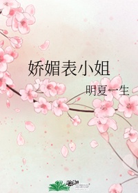 桃花岛盒子4.0破解版