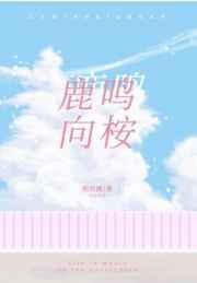 国产va视频高清