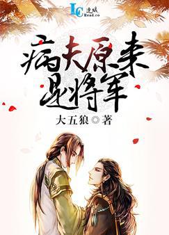 小茹与群流浪狗