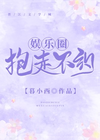 ashleymadison中文版