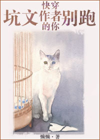 仓井空电影大全百度影音