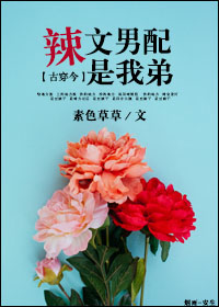 美国式禁忌免费观看