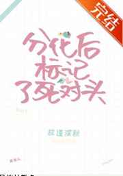 乘风破浪的姐姐第四季免费观看完整版综艺