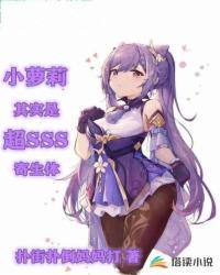 flash 软件