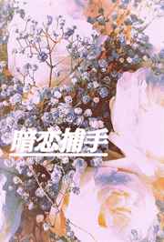 伪装学渣百度云链接