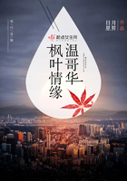爱情保卫战李南和陆雪