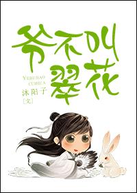 k8影视