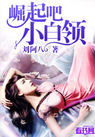 职业代码