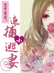 4虎最新ip是多少呢