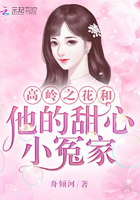 火凤凰电视剧免费全集在线观看