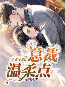 龙嫁人龙h
