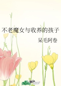 布衣天下大结局