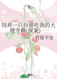 长路有灯火