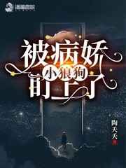 一开始就肉的军旅小说