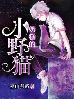 美国法律保护 亚洲专区