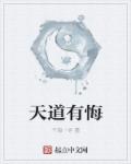 猫儿历险记