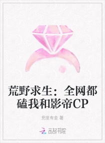 17软件
