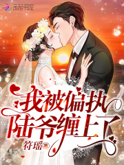 女人的法则免费观看