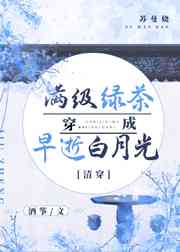 闪烁之光O氪攻略