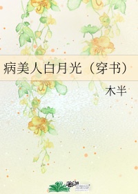 笨贼妙探