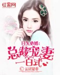 宝贝我想吃你的扇贝免费视频