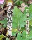 女女车车的车车视频免费