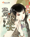 循环小说