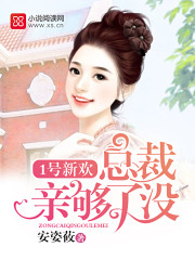 乡村艳医全文免费阅读