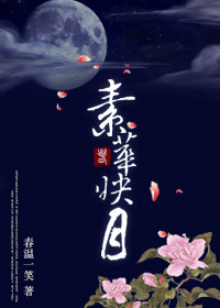 极品丝袜乱系列大全集目录