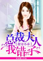 XHY.APPLE小黄鸭V2.0