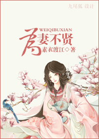 野兽的魔法师