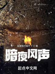 怪你过分美丽免费版在线观看完整版