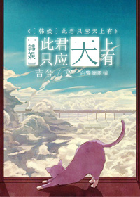 疯狂的夜空在线阅读