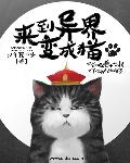 盛夏晚晴天之风流后宫