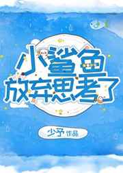 面包电影网在线观看