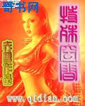 摘星之旅粤语