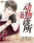屠夫影院手机版免费