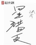 最美情侣国语版完整版