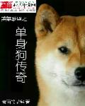 嗯啊不要小说