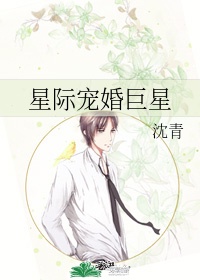 肉车小说