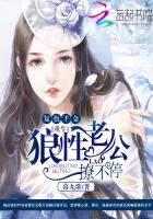 赵振大象全本