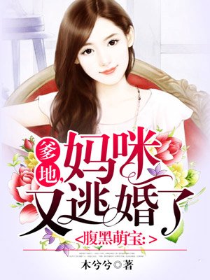 张作霖评书